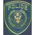 FEDERAL PROTECTIVE SERVICES PATCH PIN